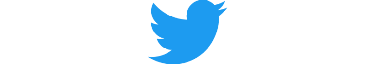 Twitter (X)